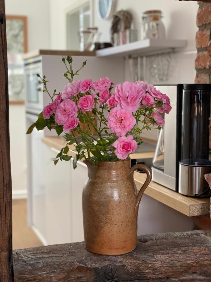 Altstadt Fereienwohnung Hameln Hamelin Ngoại thất bức ảnh