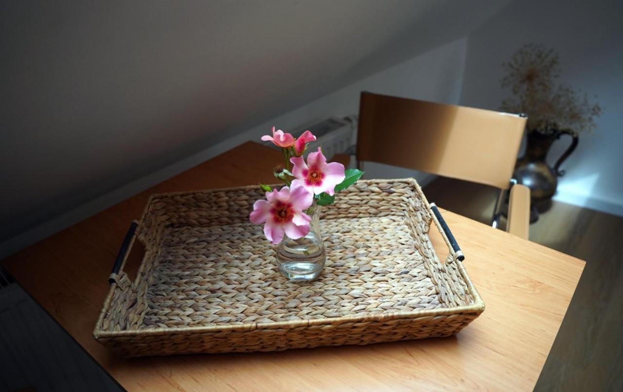 Altstadt Fereienwohnung Hameln Hamelin Ngoại thất bức ảnh